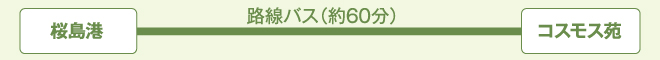 「桜島港」から「コスモス苑」まで：路線バスで約60分